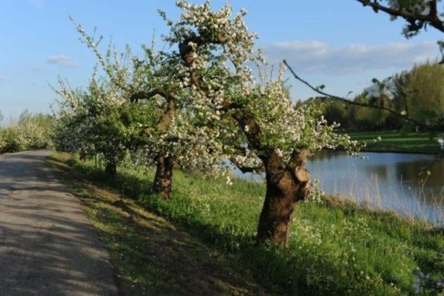 Bed&Breakfast de Neust Beesd Exterior foto
